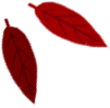 Icona foglia rossa