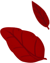 Icone foglie rosse