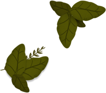 Icone foglie verdi