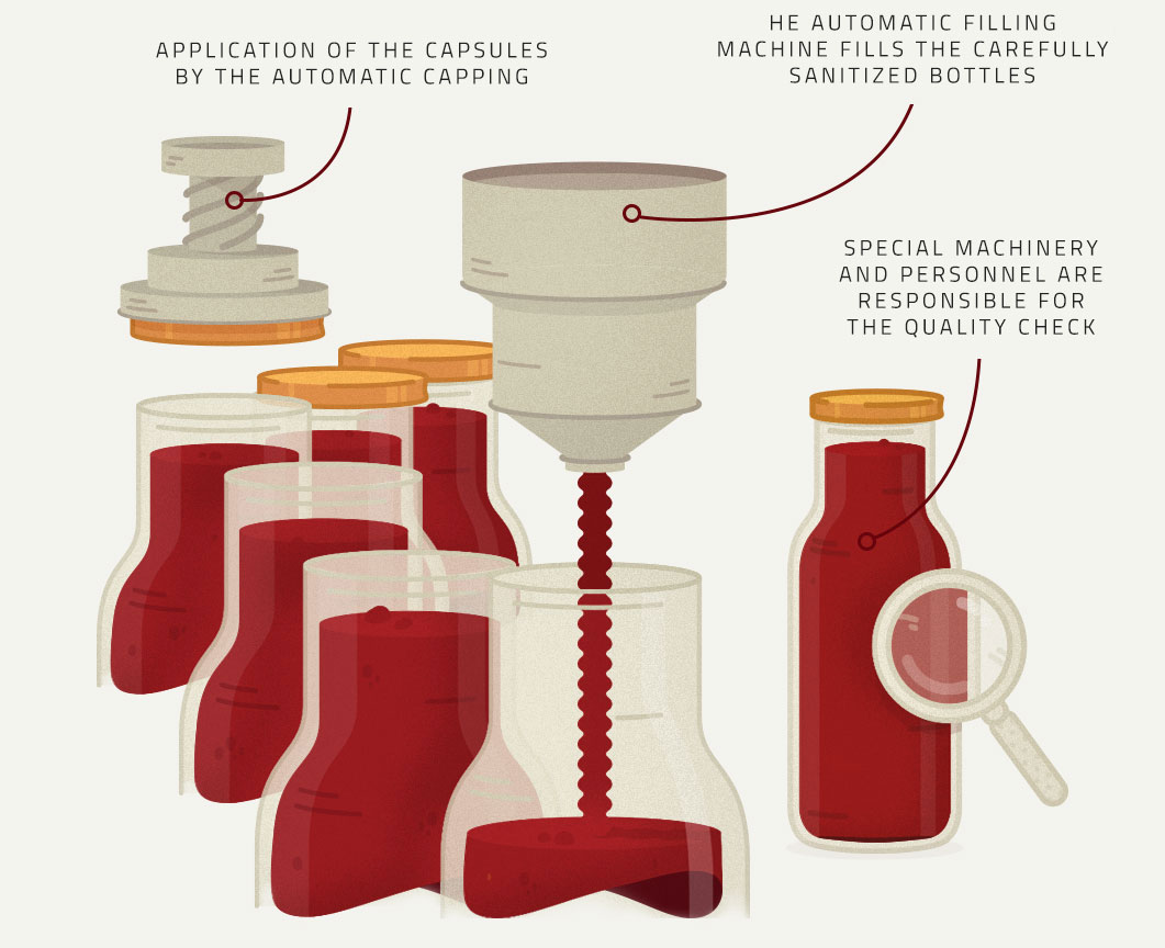 Filling, pasteurization and quality control illustration - Tomato's Production Process