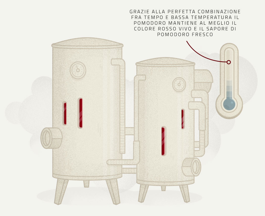 Infografica delle brovatrici per la lavorazione dei Pomodori dei prodotti Petti