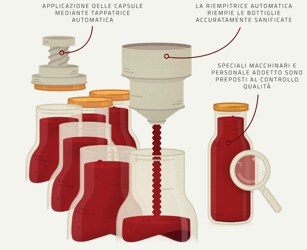 Infografica su Riempimento, Pastorizzazione e Controllo Qualità del Pomodoro