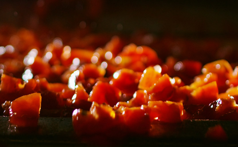 Detail of the tomatoes inside the dicer machine
